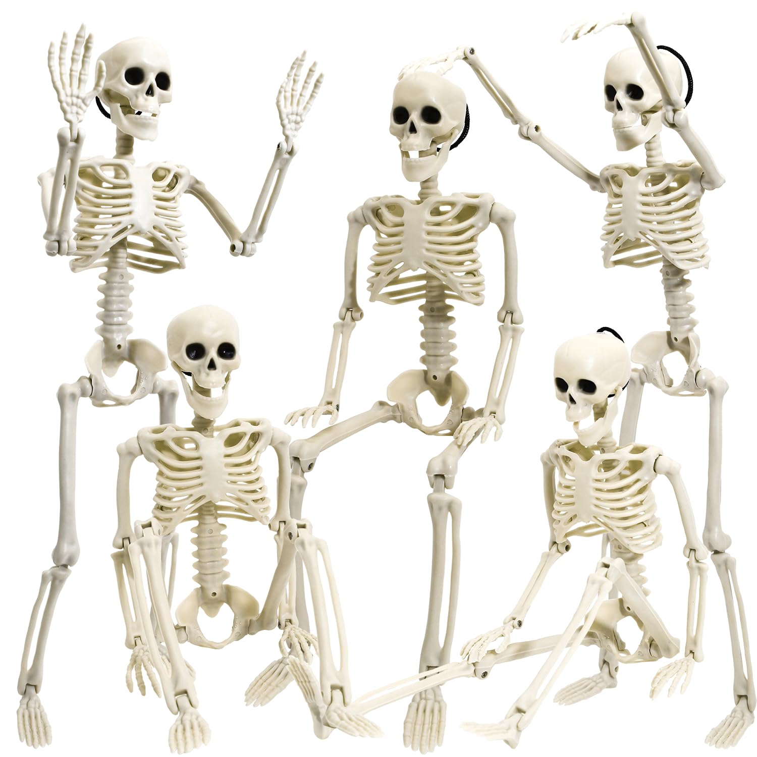 5 Pack Halloween Skeleton Decoration,16"Full Body Posable Skeleton Realistic Hum