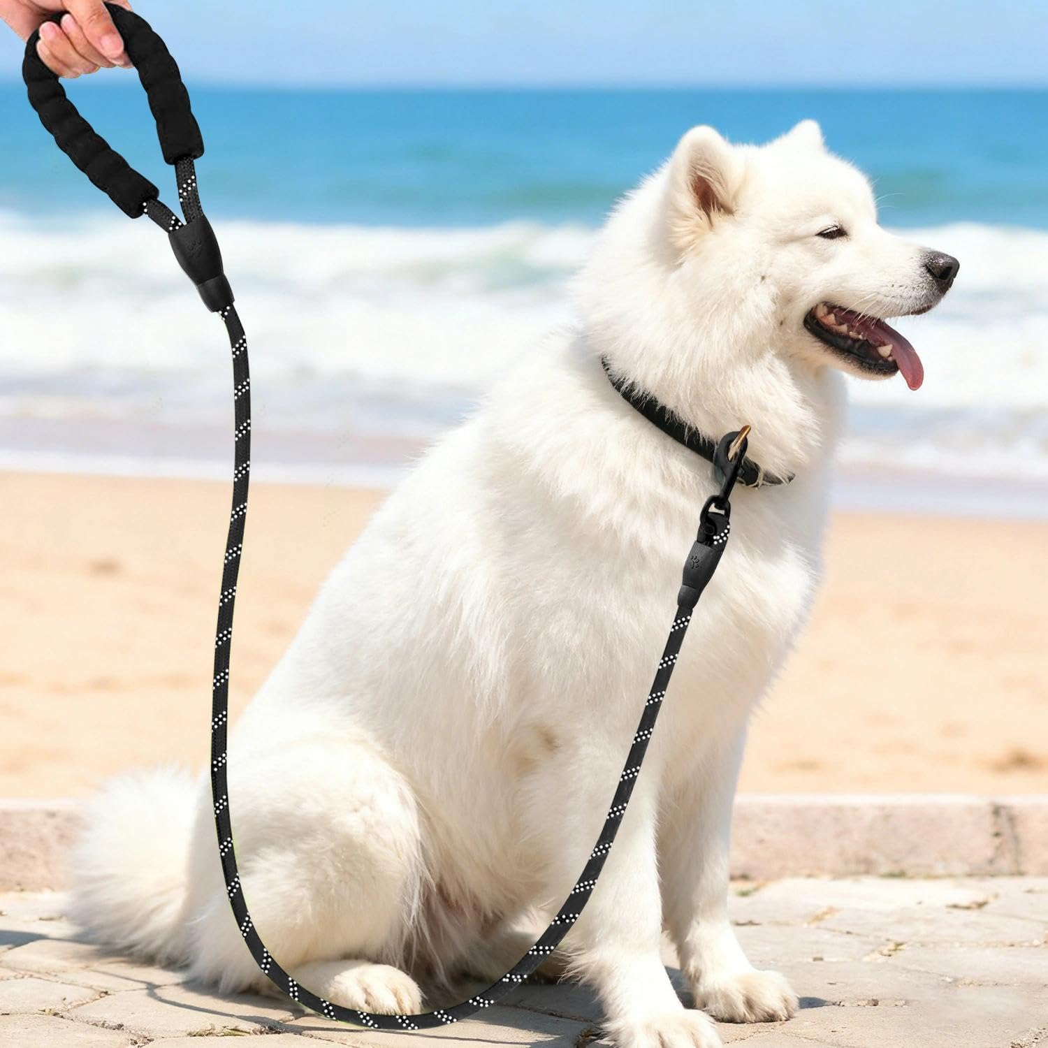 Dog Leash 150cm Dog Leash for Walking Training, Heavy Duty Dog Leash with Comfor