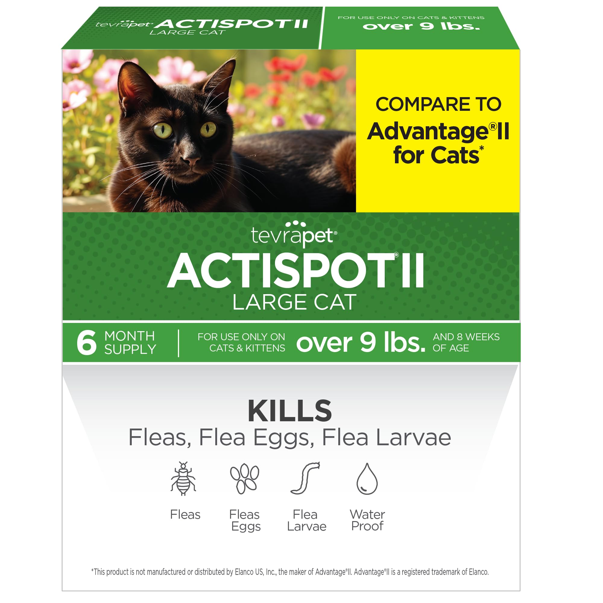 TevraPet Actispot 2 Flea Treatment for Large Cats 9+ lbs, 6 Doses | Vet-approved