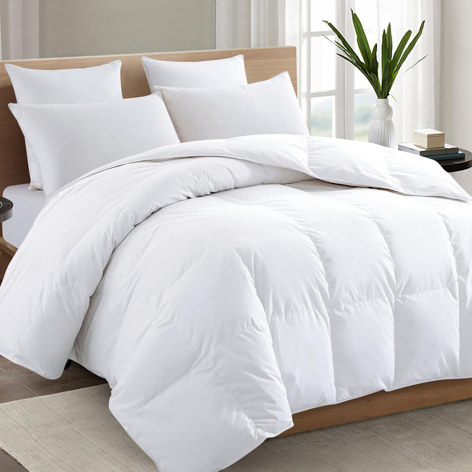 TEXARTIST White Queen Comforter, All Season Down Alternative Duvet Insert | Prem