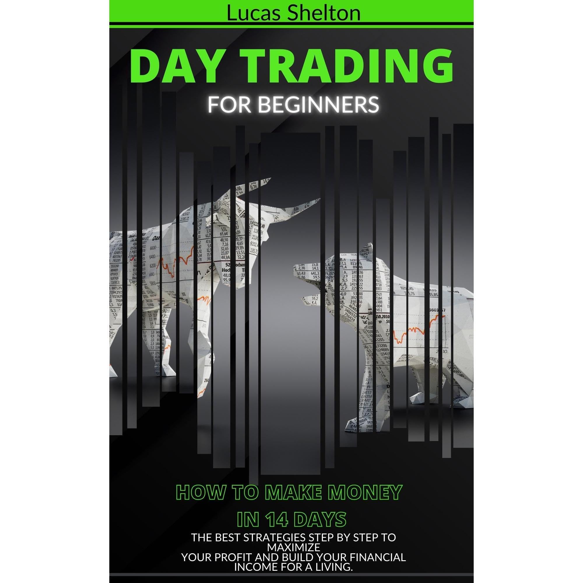 “Day trading for beginner”: How to make money in 14 days, the best strategies st