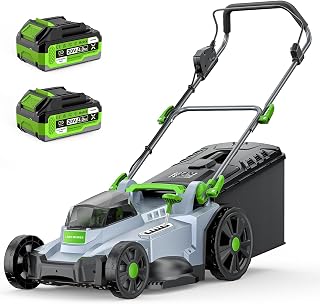 ETOOLAB 40V Cordless Lawnmower, 42cm Cut, Brushless, For Medium Gardens | for Home Lawns up to 400-600m², With 2 x 4.0Ah Batteries, Charger, 50L Grass Bag and Mulching Function, 6 Cutting Heights