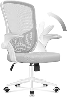 naspaluro Office Chair: Ergonomic Office Chair with Reversible Armrests, Breathable Mesh Seat, Height Adjustable, Lumbar Support, Suitable for Home Office, Grey