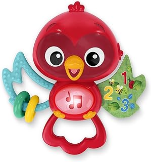Baby Einstein Roxys Bright Flight Musical Baby Toy & Teether, Plays Real Bird Sounds with 10+ Melodies, Multisensory, Ages 3 Months and Up