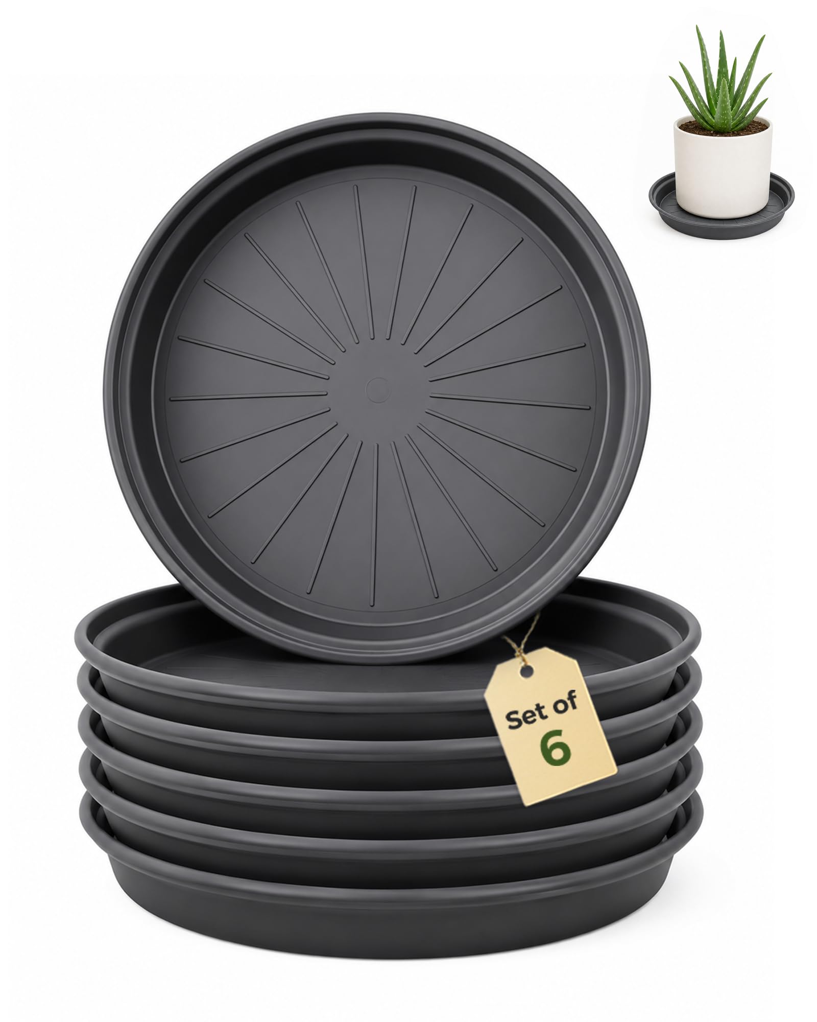 Bamworld 6 Pack Plant Saucers 30cm (12 Inch) | Round Plastic Plant Trays Heavy D