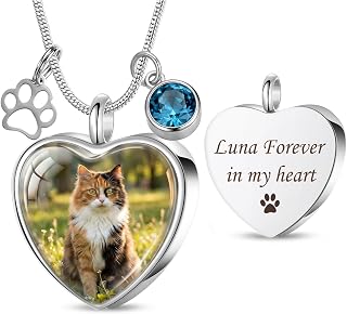 Farfume Pet Ashes Necklace - Custom Photo Engraved Quote, for Dog Cat | Stainless Steel, Water-Proof, Long-term Wear, Cremation Jewelry Keepsake, Sympathy Gift for Loss Pets, Women Men