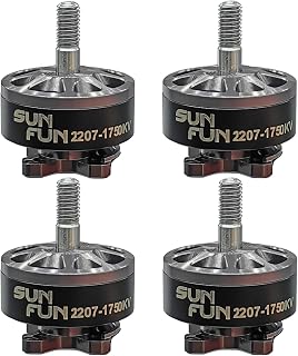 DYS 4PCS SUNFUN 2207 1750KV 6S Drone Motor for FPV Racing Drone Quadcopter 5inch Freestyle Remote Drone (SF2207 1750KV 4PCS)
