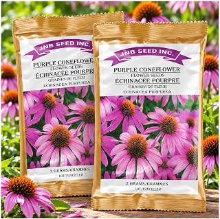 Purple Coneflower Native Hardy Perennial Flower Seeds 1500 2 Packs Canada | Pollinator Borders, Cottage Beds, Long Summer Colour, Fragrant Cut Bouquets, Cold Climate Performance