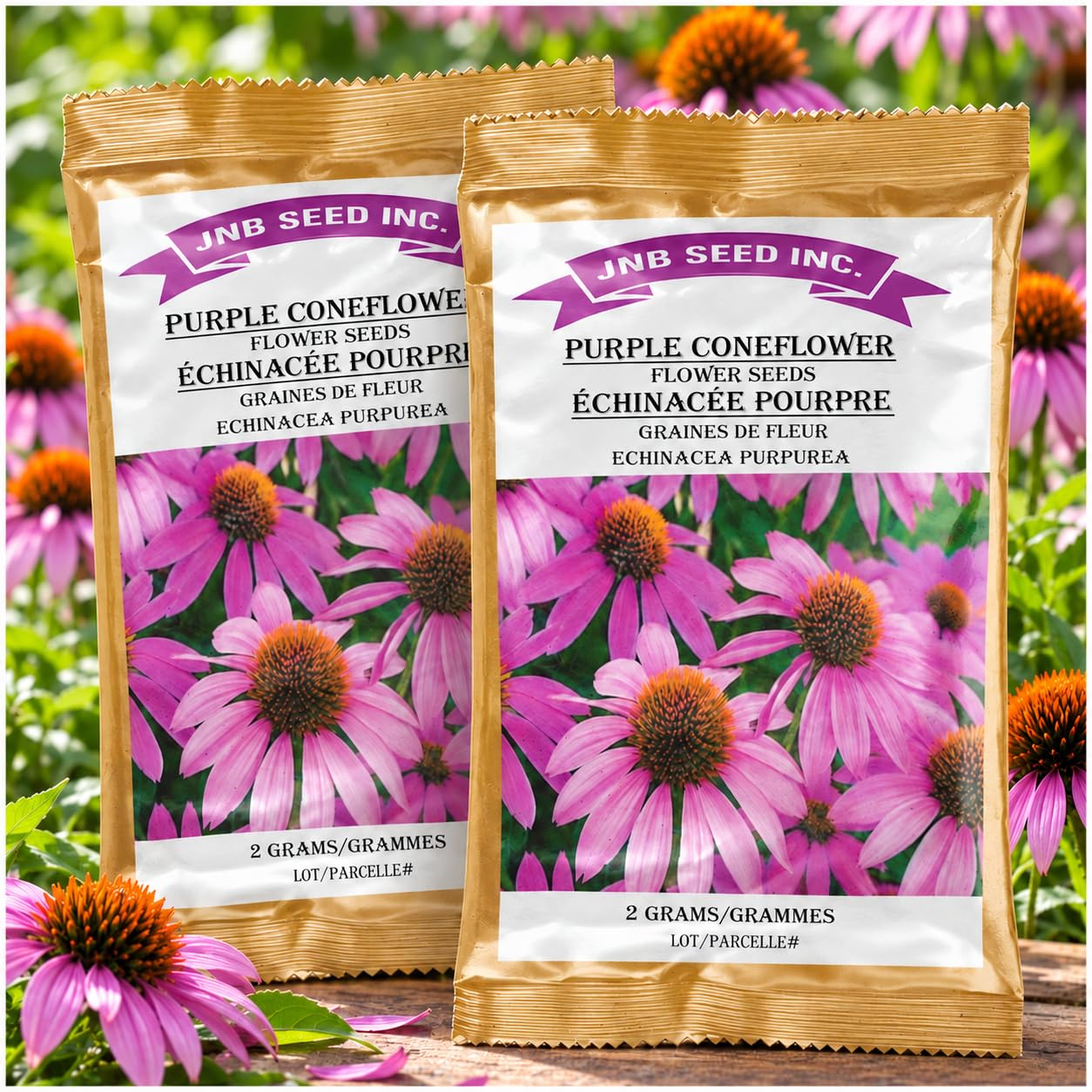 Purple Coneflower Native Hardy Perennial Flower Seeds 1500 2 Packs Canada | Poll