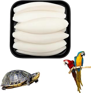 12 Pieces Cuttlefish Bone for Birds and Tortoises, Cuttlebone for Pets | Calcium Supplement for Beak and Shell Health, 4 Size Variations for Different Pet Needs