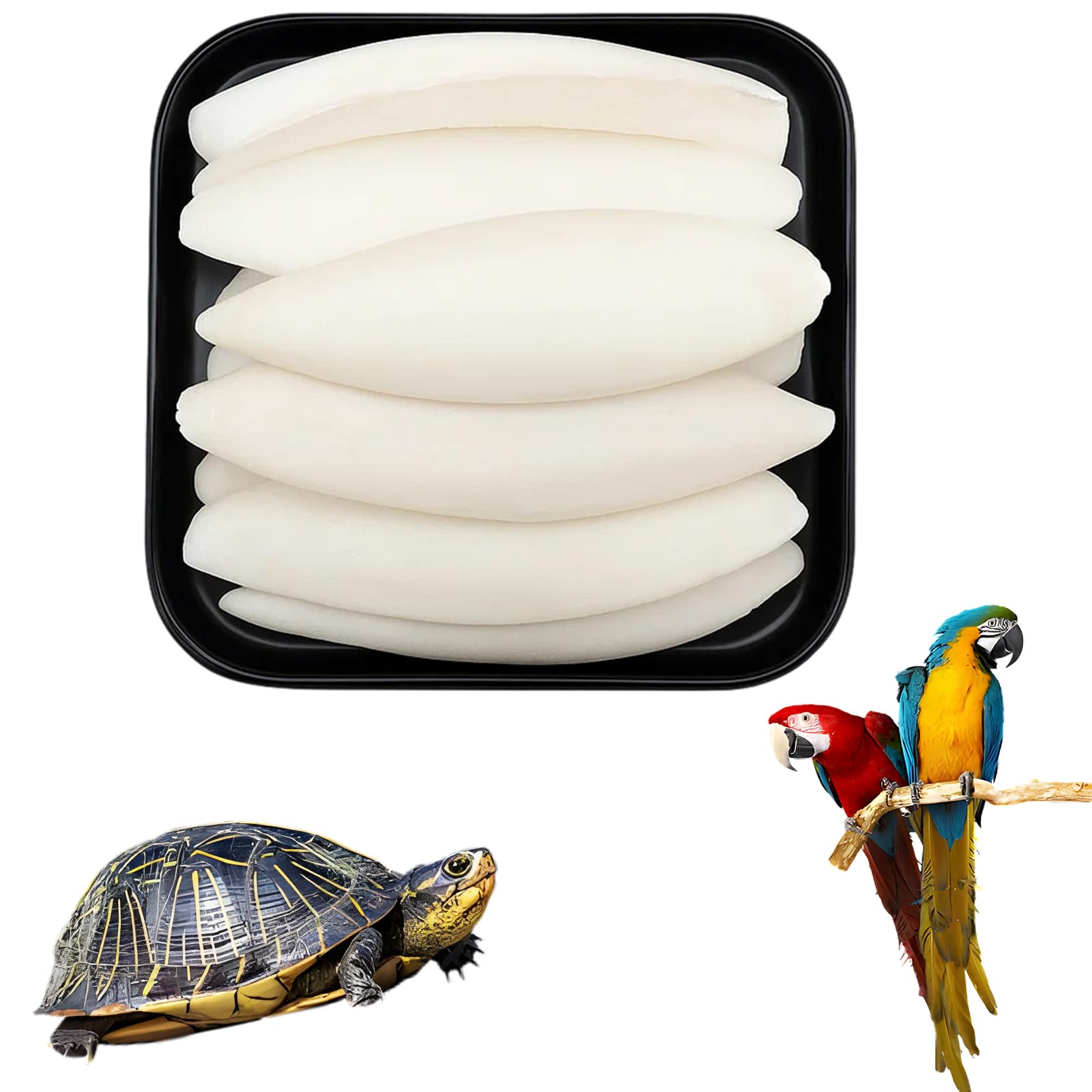 12 Pieces Cuttlefish Bone for Birds and Tortoises, Cuttlebone for Pets | Calcium