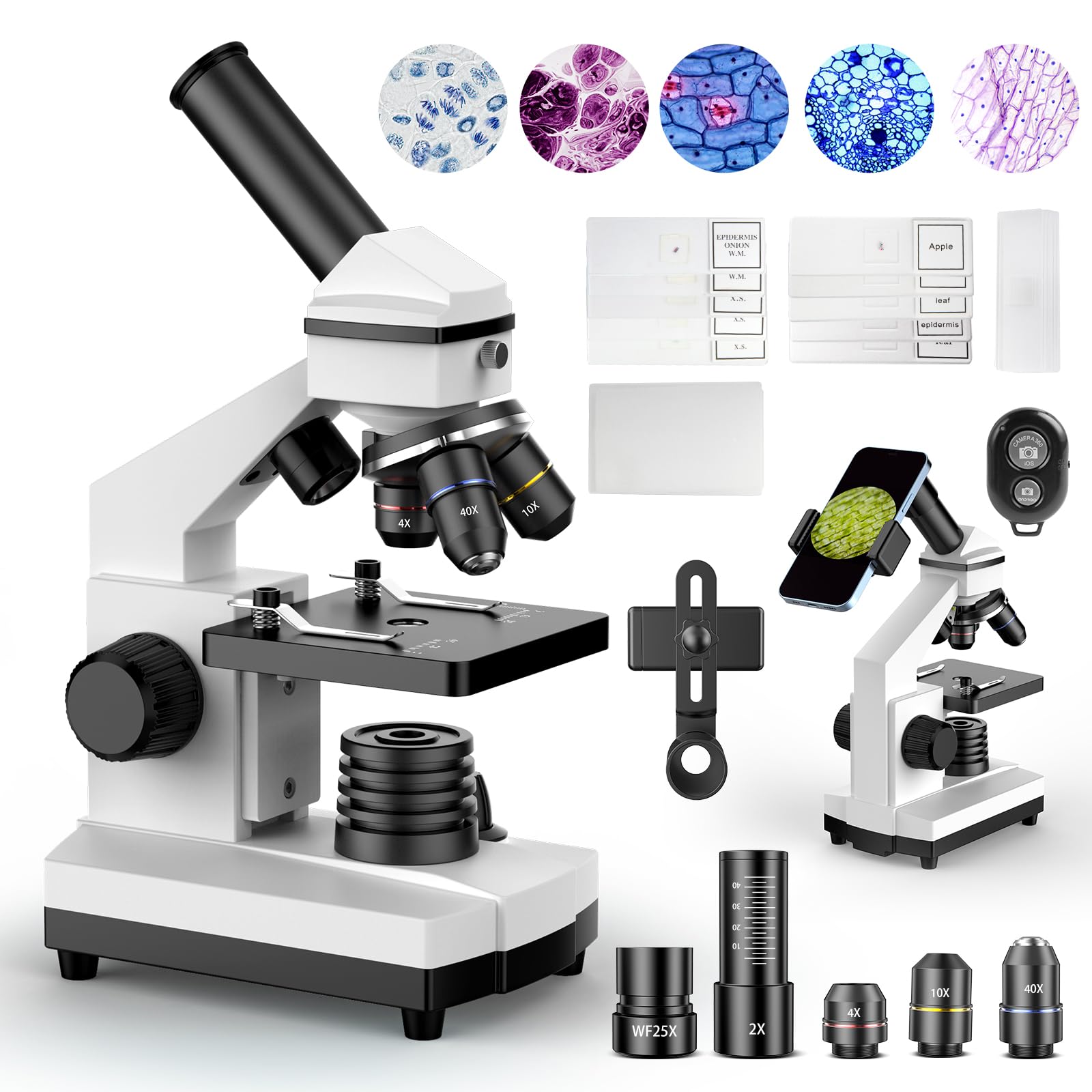 PalliPartners Compound Microscope for Adults & Students, White | 100X-2000X High