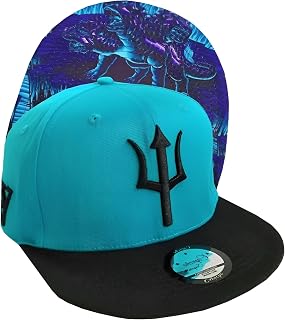 Capiche [99+ VARIATIONS] Snapback Cap New Collection Special Series Dark Grey