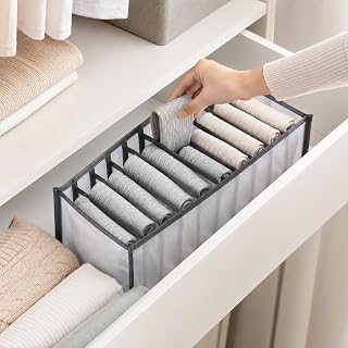 Closet Organizer - 11 Compartments, Sock Drawer Organizer, Garment Bag to Organize and Store Bras, Underwear, Socks and Other Accessories - Lightweight, Durable and Easy to Clean