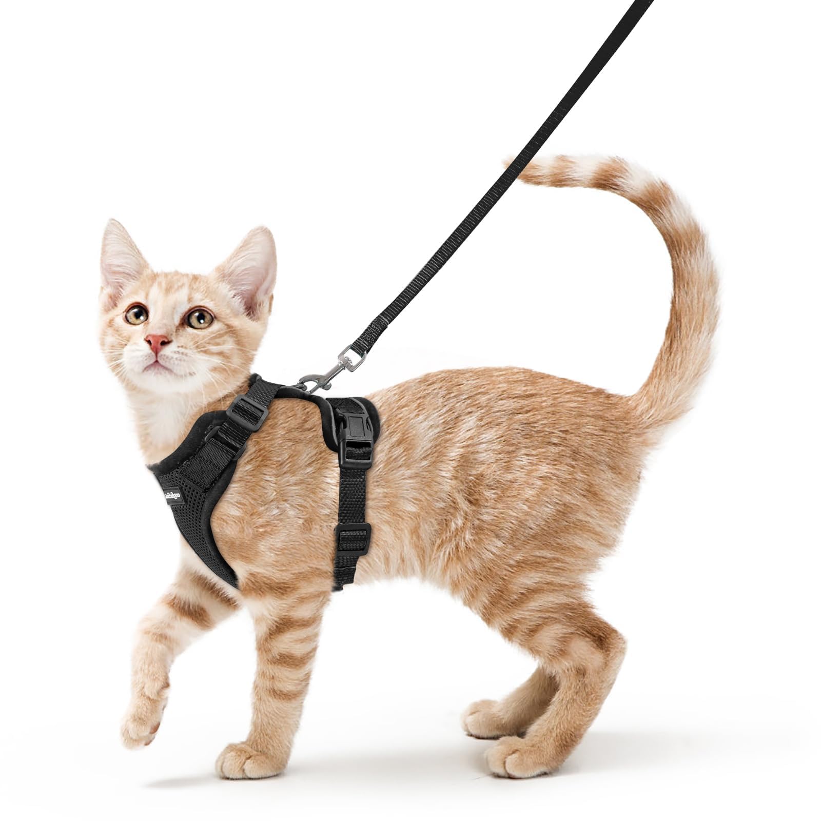 rabbitgoo Cat Harness and Leash Set, Escape Proof Vest, Black | Soft Breathable 