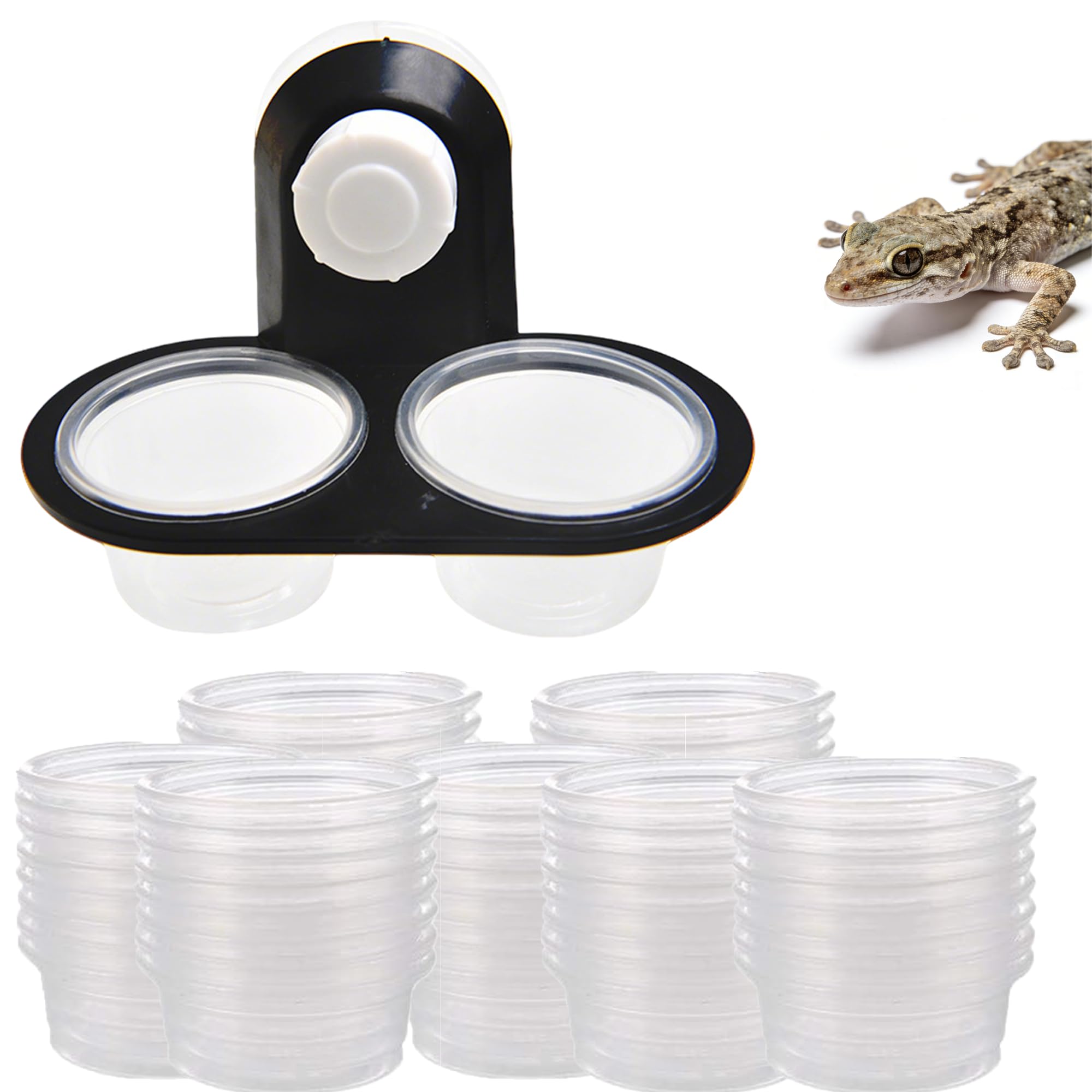 Asphodelia Gecko Feeding Ledge Suction Cup with 104 PCS Plastic Bowls for Lizard