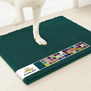 Muddy Mat® | Super Water Absorbent Door Mat Indoor, Microfiber Quick Dry Chenille Entryway Rug,Slip Resistant Front Door Mat,Indoor Mats for Entryway,Machine Washable Pet Rug, Atlantic Green 16"x24"