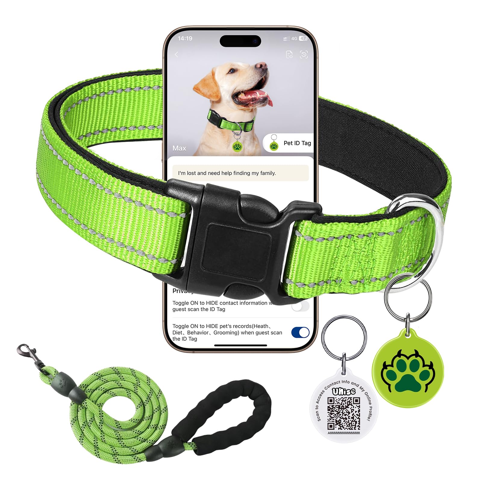 Reflective Dog Collar with Buckle Adjustable Nylon Dog Collar Bright Green S Inc