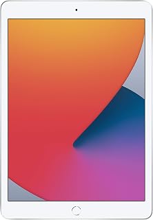 Apple iPad (10.2-inch, Wi-Fi, 32GB) - Silver (Latest Model, 8th Generation) (Renewed)