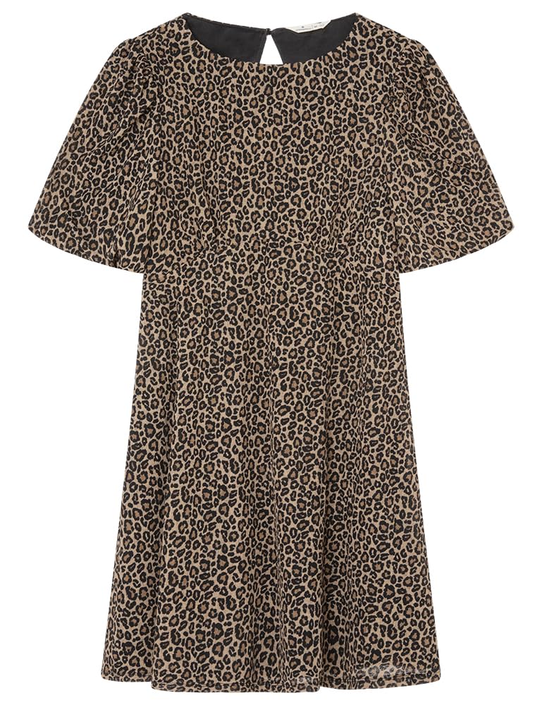 Springfield Women's Dress