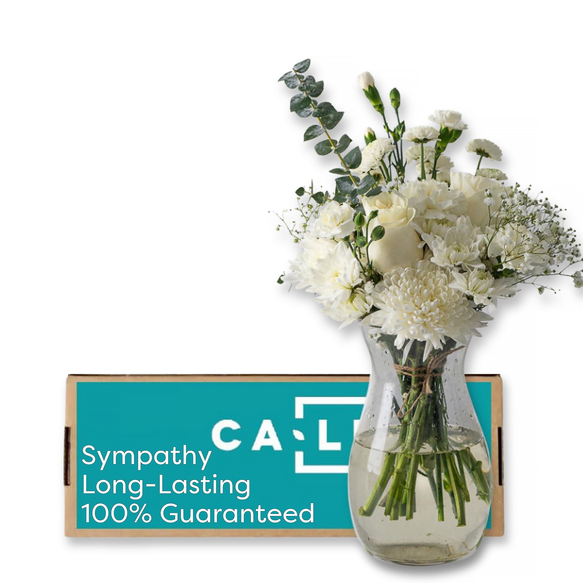 Callia Flowers - White & Green Fresh Flower Bouquet - (Standard) Hand-Tied Fresh