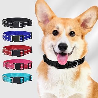Reflective Nylon Dog Collar with Buckle (Red, S)