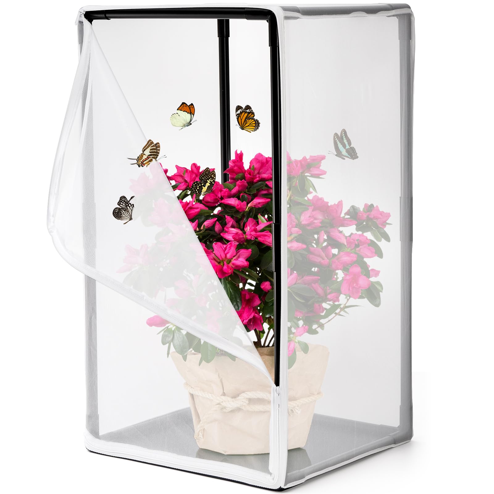 Kingrol 31-Inch Butterfly Habitat Cage, Mesh Enclosure for Caterpillars | Assemb