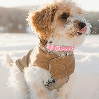 Dog Collar for Small and Medium Dogs, Durable Soft Leather Collar for Girls and Boys, Adjustable Puppy Collar Suitable for Running and Playing