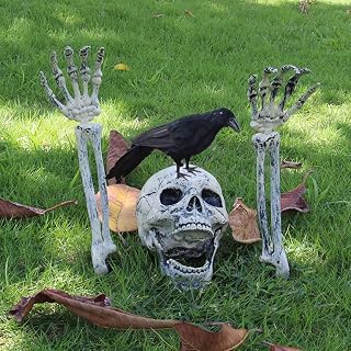 Skeleton with 2 Crows for Halloween Decorations Outdoor Graveyard Stakes | Realistic Life Size Skull&Arms,Weatherproof Adjustable Jaw&Joints,Hallowee Decor for Garden Yard Lawn Party Haunted House