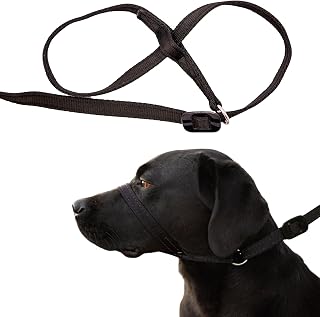 Gencon - All-in-One Anti Pull Dog Lead and Headcollar - Trainer Approved - Figure of 8 Dog Lead with Soft Loop Handle, Gentle Control - Left Hand - Washable - UK Made - Black