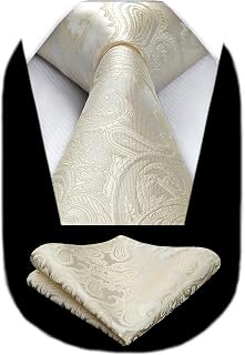 HISDERN Paisley Floral Men's Ties Modern Necktie and Pocket Square Matching Classic for Wedding Party Business