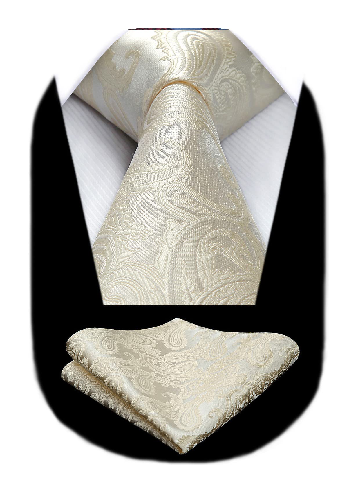 HISDERN Paisley Floral Men's Ties Modern Necktie and Pocket Square Matching Clas