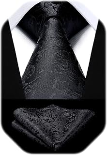 HISDERN Paisley Ties for Men Solid Tie Handkerchief Floral Men's Necktie & Pocket Square Set Wedding Classic Mens Ties