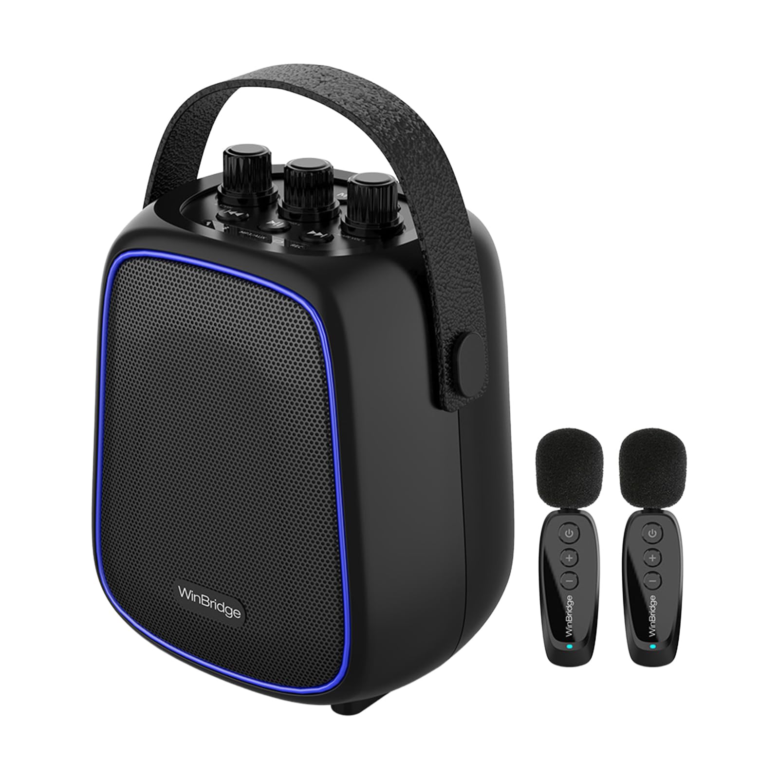 Voice Amplifier with 2 Wireless Lavalier Mics, 36W Portable PA System | for Teac