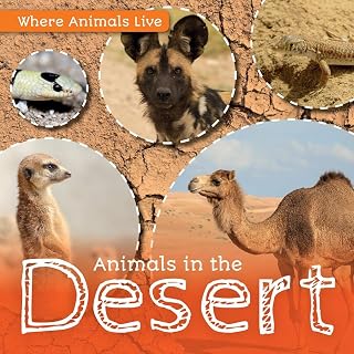 Animals in the Desert (Where Animals Live)