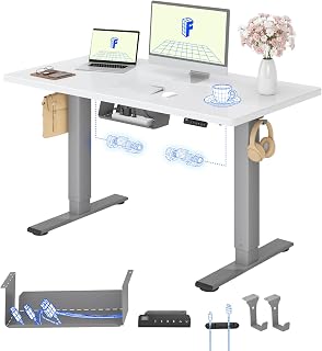FLEXISPOT Desk Adjustable Height 120 x 60 cm, 2 Motors, Single Top 25 mm, Memory & Height Display, Ergonomic with Cable Management, Undershelf Shelf, Hooks and Cable Clips
