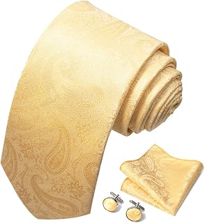 Men's Elegant Paisley Floral Tie with Pocket Square Cufflinks Set