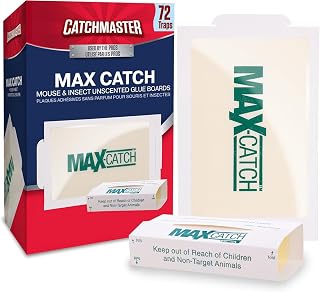 Catchmaster Max-Catch Unscented Glue Traps 72pk, Sticky Mouse Traps Indoor