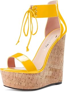 CASTAMERE Women's High Wedge Platform Heel Open Toe Ankle Straps Lace Sandals Clear Dress 15 cm Heels