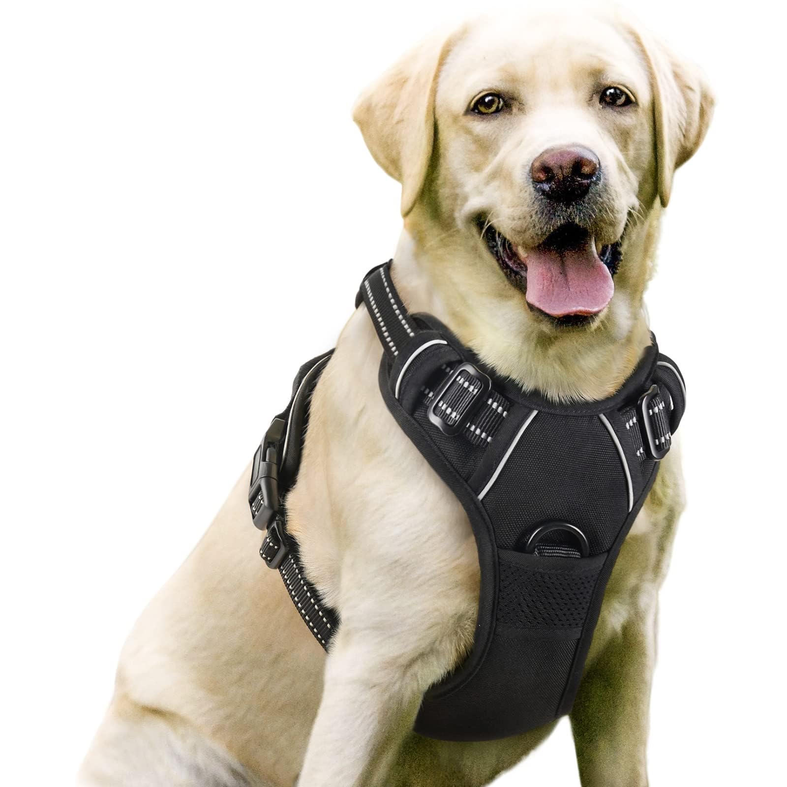 rabbitgoo Dog Harness, No Pull for Large Dogs with 2 Leash Clips, Pet Vest | No 