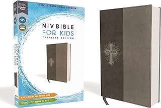 NIV, Bible for Kids, Leathersoft, Gray, Red Letter, Comfort Print: Thinline Edition