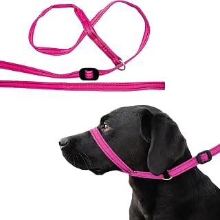 Gencon - All-in-One Anti Pull Dog Lead and Headcollar - Trainer Approved - Figure of 8 Dog Lead with Soft Loop Handle, Gentle Control - Left Hand - Washable - UK Made - Pink/Burgundy