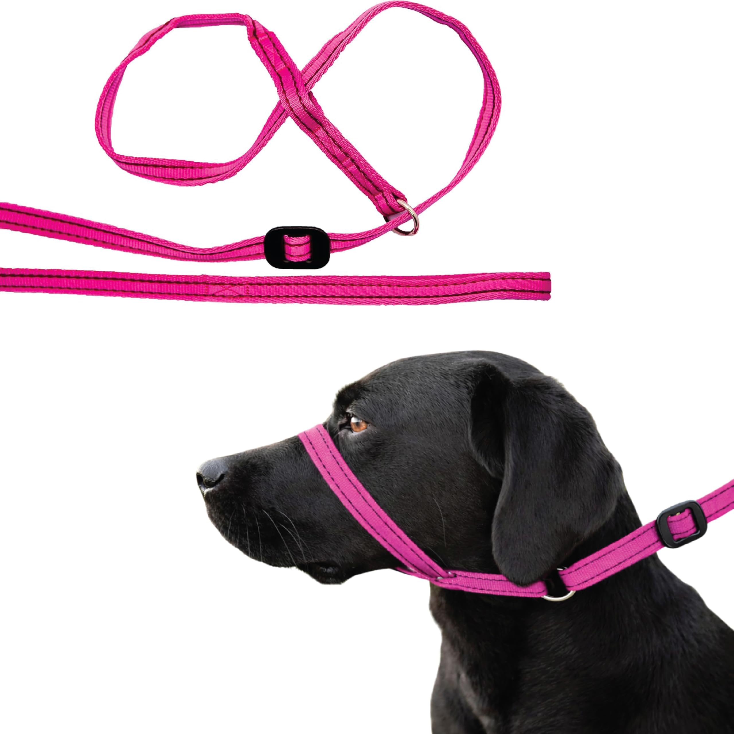 Gencon - All-in-One Anti Pull Dog Lead and Headcollar - Trainer Approved - Figur