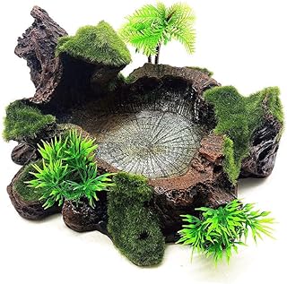 OMEM Resin Reptile Feeding Bowl Food Water Dish Habitat Decor Terrarium Humidify Basin Water Bowl