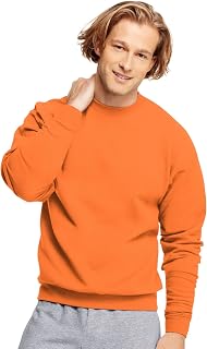 Hanes Men's P170 Hoodie (pack of 1)