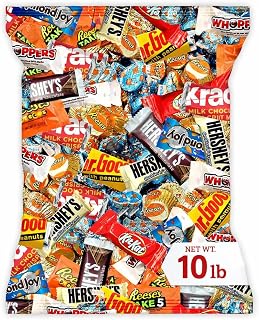 Chocolate Assorted Bulk Candy - 10 LB Chocolate Candy Variety Pack - Bulk Chocolate, Milk ChocolateCandy, Dark ChocolateCandy - Bulk Candies Mix - Variety Pack - July 4th