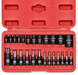 MIXPOWER 25 Piece Torx Bit and Socket Set, 13 Star Bits (T8- T60) & 12 E-Torx Sockets (E4-E22), Professional Grade Auto & Motorcycle Mechanic Set