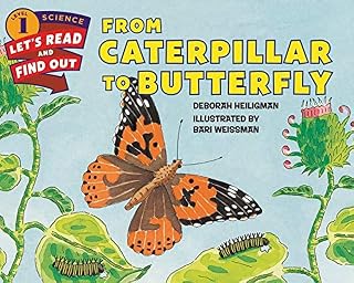 From Caterpillar to Butterfly: A classroom caterpillar's amazing transformation into a Painted Lady butterfly―science fun for kids ages 4-8 (Let's-Read-and-Find-Out Science 1)