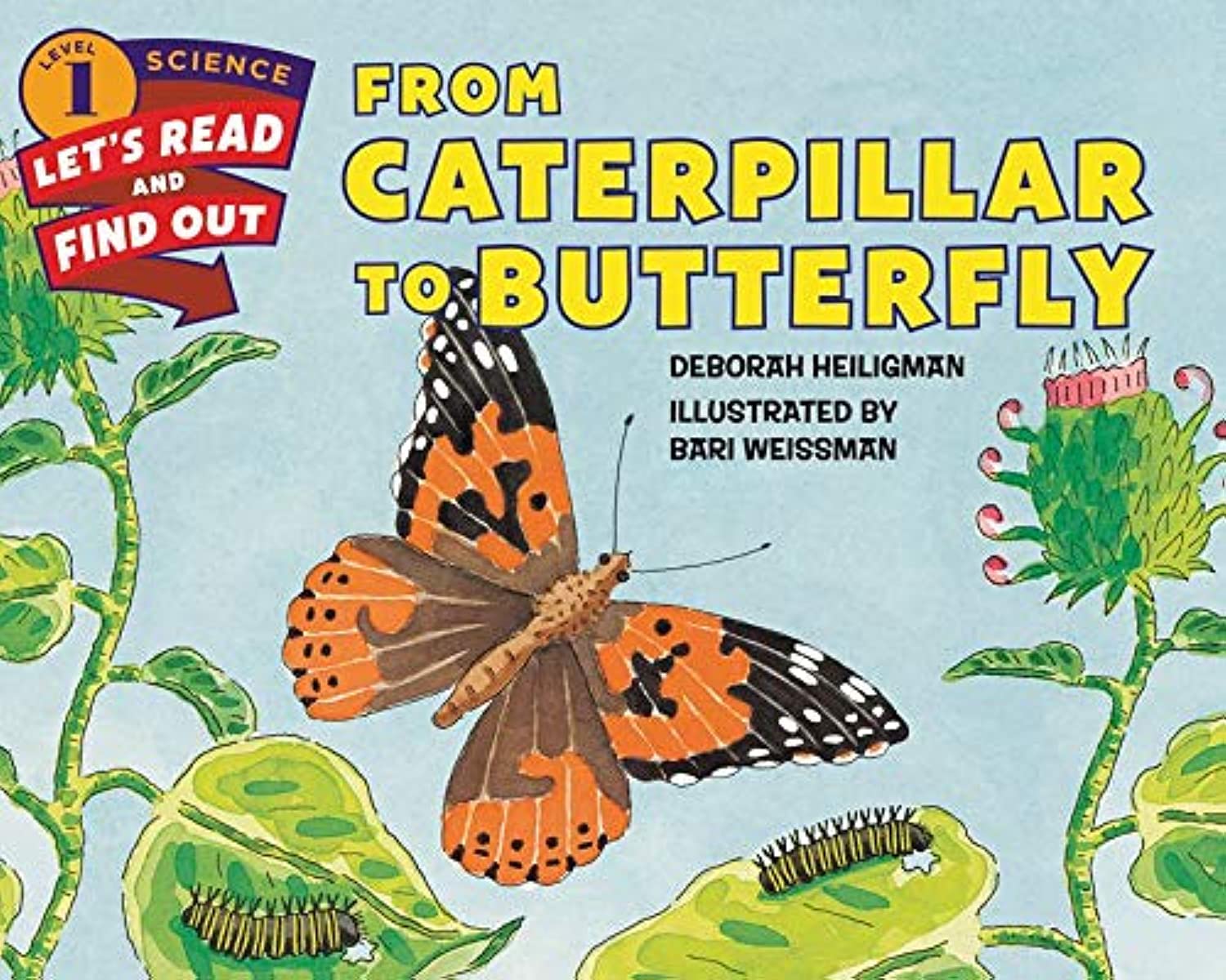 From Caterpillar to Butterfly: A classroom caterpillar's amazing transformation 