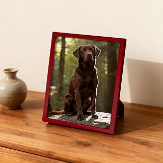 3.5x5 inch Modern Style Photo Frame Wall and Tabletop Picture Frame Minimalist Gloss Finish Ideal for Home (Red)